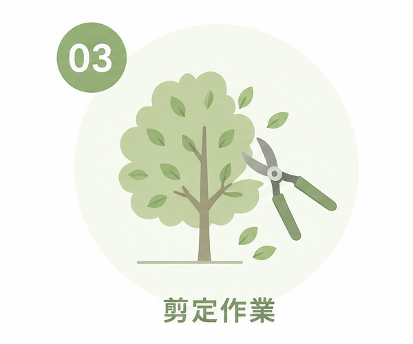 庭木の剪定作業