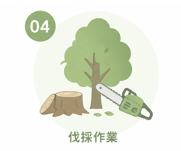 庭木の伐採作業